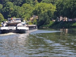 Mainschwimmen Juni 2026